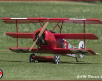 TSR Watermark - 0425